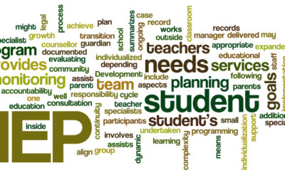 Incorporating DIR Goals into the Individual Education Plan (IEP)
