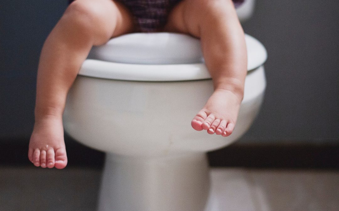 A Developmental Approach to Toileting: Part 1
